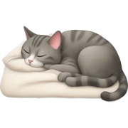 Cat sleep sticker