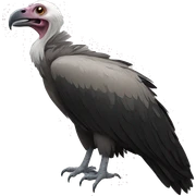 vulture sticker
