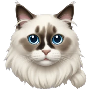 Ragdoll cat sticker