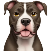 Pitbull  sticker