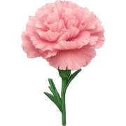 carnation sticker