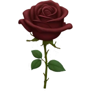 dark red rose sticker