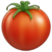 tomato sticker