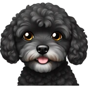 Black maltipoo sticker
