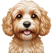 Cavapoo sticker