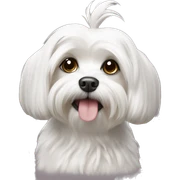 Maltese dog sticker