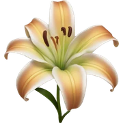 Lily sticker