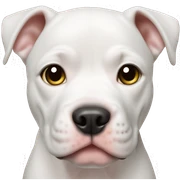 Pitbull puppy white sticker