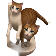 blue eyed cat in bathroom sticker