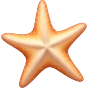 Starfish aesthetic  sticker