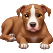 Brown Pitbull puppy laying  sticker