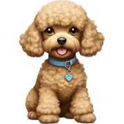 toy poodle sticker