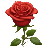 scarlet rose sticker