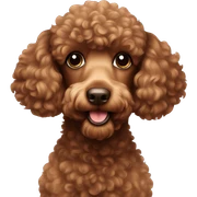 brown poodle sticker