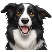 border collie sticker