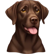 chocolate lab sticker