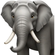 ELEPHANT sticker