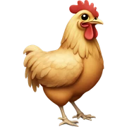 Chicken  sticker