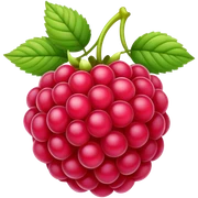 Raspberry sticker