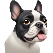 French bulldog sticker