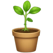 New sprout sticker