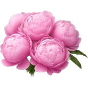 bouquet of peonies sticker