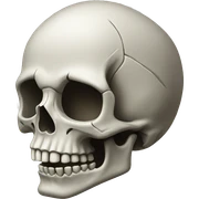 skull  sticker