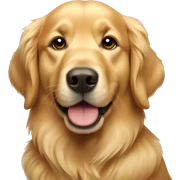Golden retriever  sticker