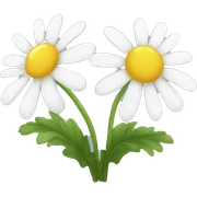 Chamomile sticker
