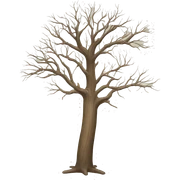 leafless tree sticker