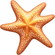 Starfish sticker