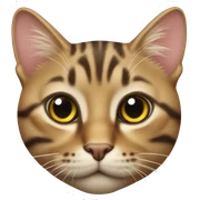 tabby cat sticker