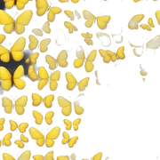 Yellow butterfly sticker