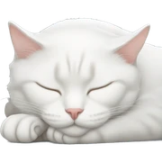 White cat sleeping  sticker