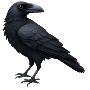 crow sticker