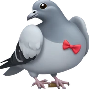 pigeon with bow sticker