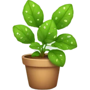 otted plant sticker