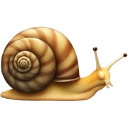 Snail sticker