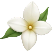 Vanilla sticker