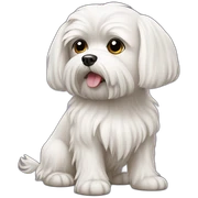 maltese dog sticker