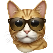 Cat with sunglasses sticker