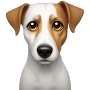 Sad jack russell sticker