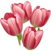 Tulips sticker