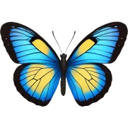 butterfly blue sticker
