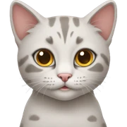 Kitty sticker