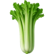 Celery sticker
