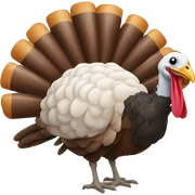 Turkey sticker