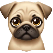 Fawn pug puppy sticker
