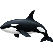 Orca sticker