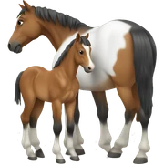 Horse with foal  sticker
